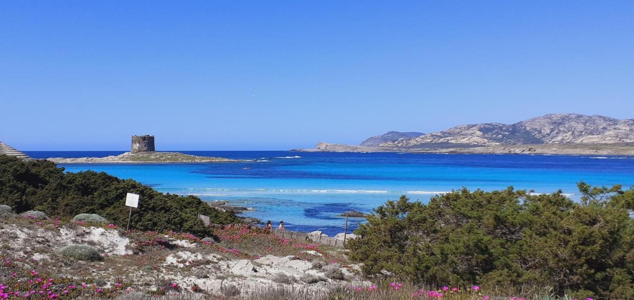 B&B Giomar Sardegna Nord Ovest Campanedda Kültér fotó