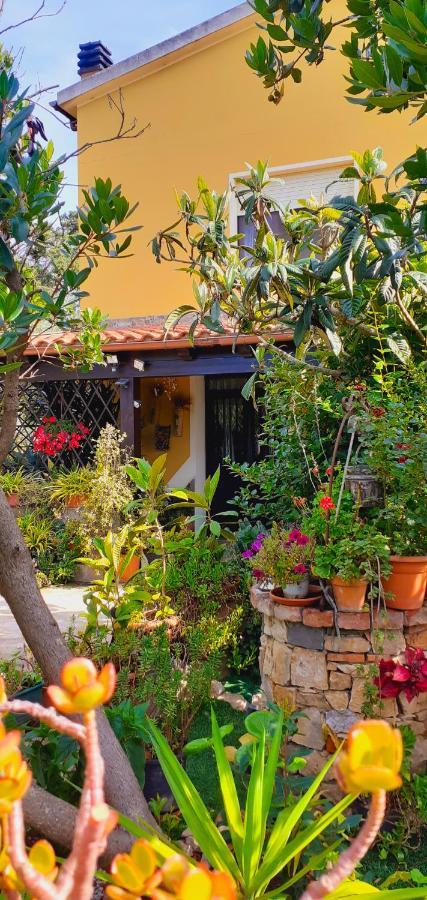 B&B Giomar Sardegna Nord Ovest Campanedda Kültér fotó